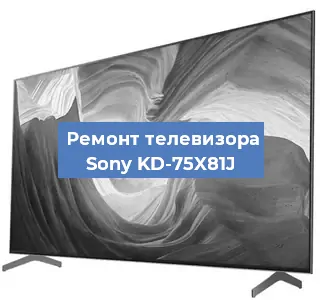 Замена материнской платы на телевизоре Sony KD-75X81J в Белгороде